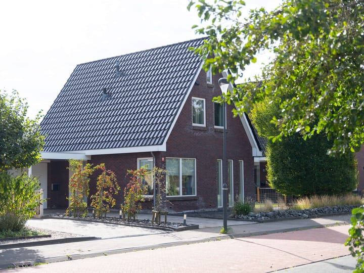 Vrijstaande woning te koop: Paardenbloem 8, Drachten