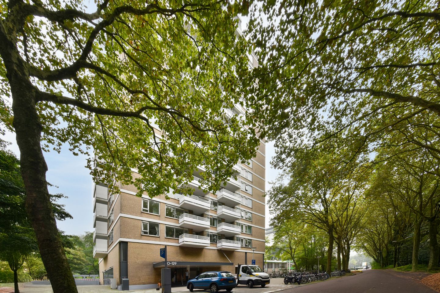 Foto 20 van Nachtwachtlaan 76