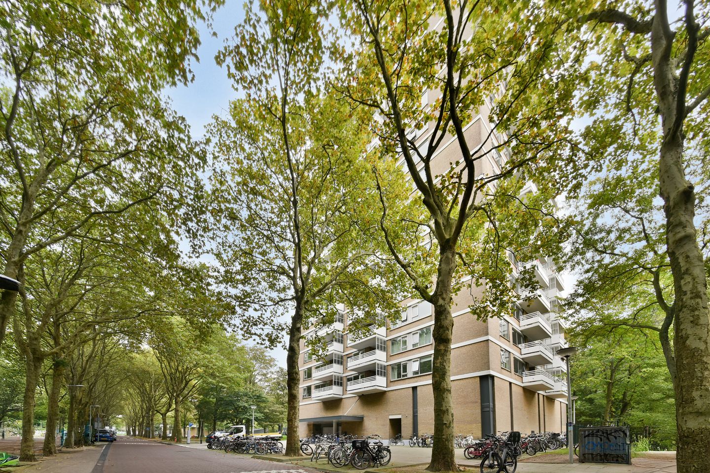Foto 19 van Nachtwachtlaan 76