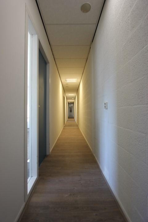 View photo 4 of Pieter Goedkoopweg 38