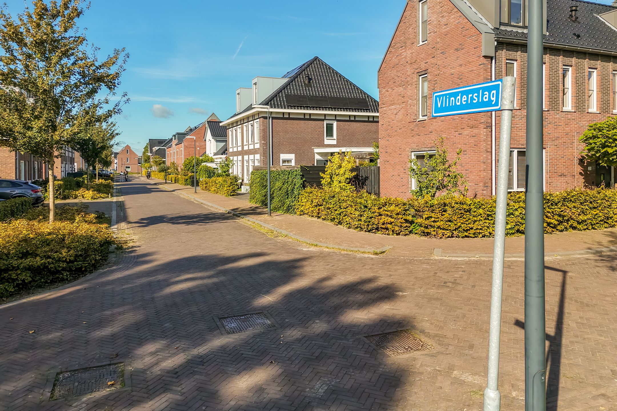 Photo 45 of Vlinderslag 41