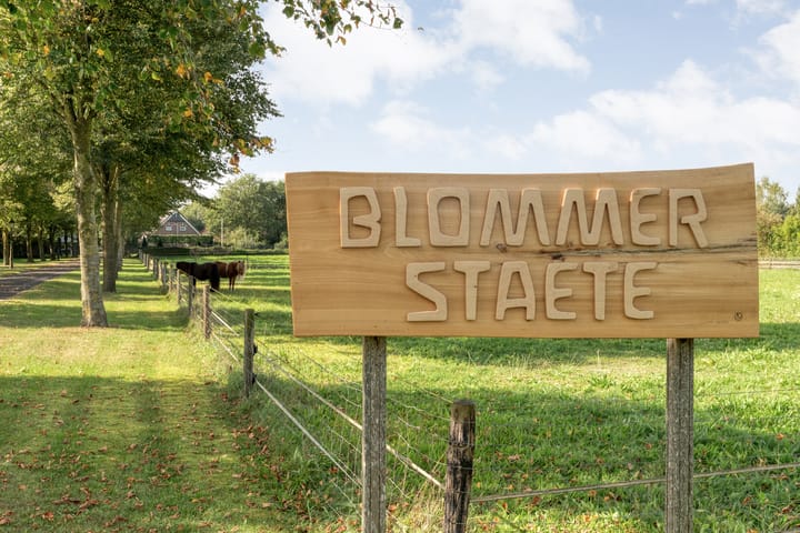 Vrijstaande woning te koop: Grote Kattendijk 5, Venebrugge