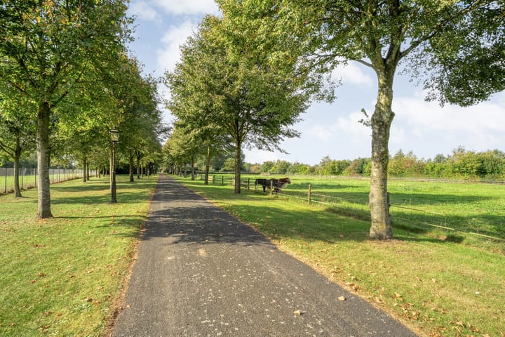 Vrijstaande woning te koop: Grote Kattendijk 5, Venebrugge