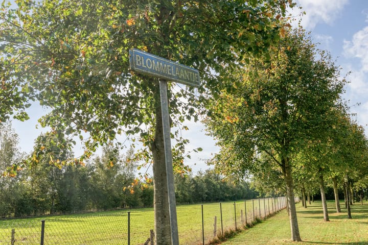 Vrijstaande woning te koop: Grote Kattendijk 5, Venebrugge