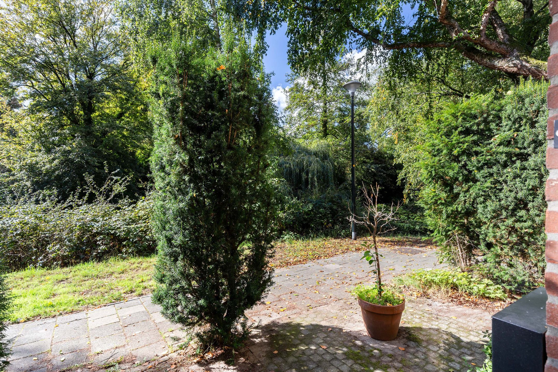Photo 30 of Kruizemuntstraat 867