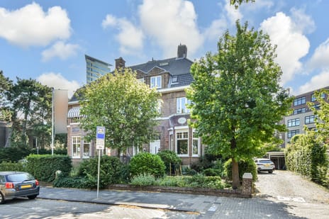 Eisenhowerlaan thumbnail