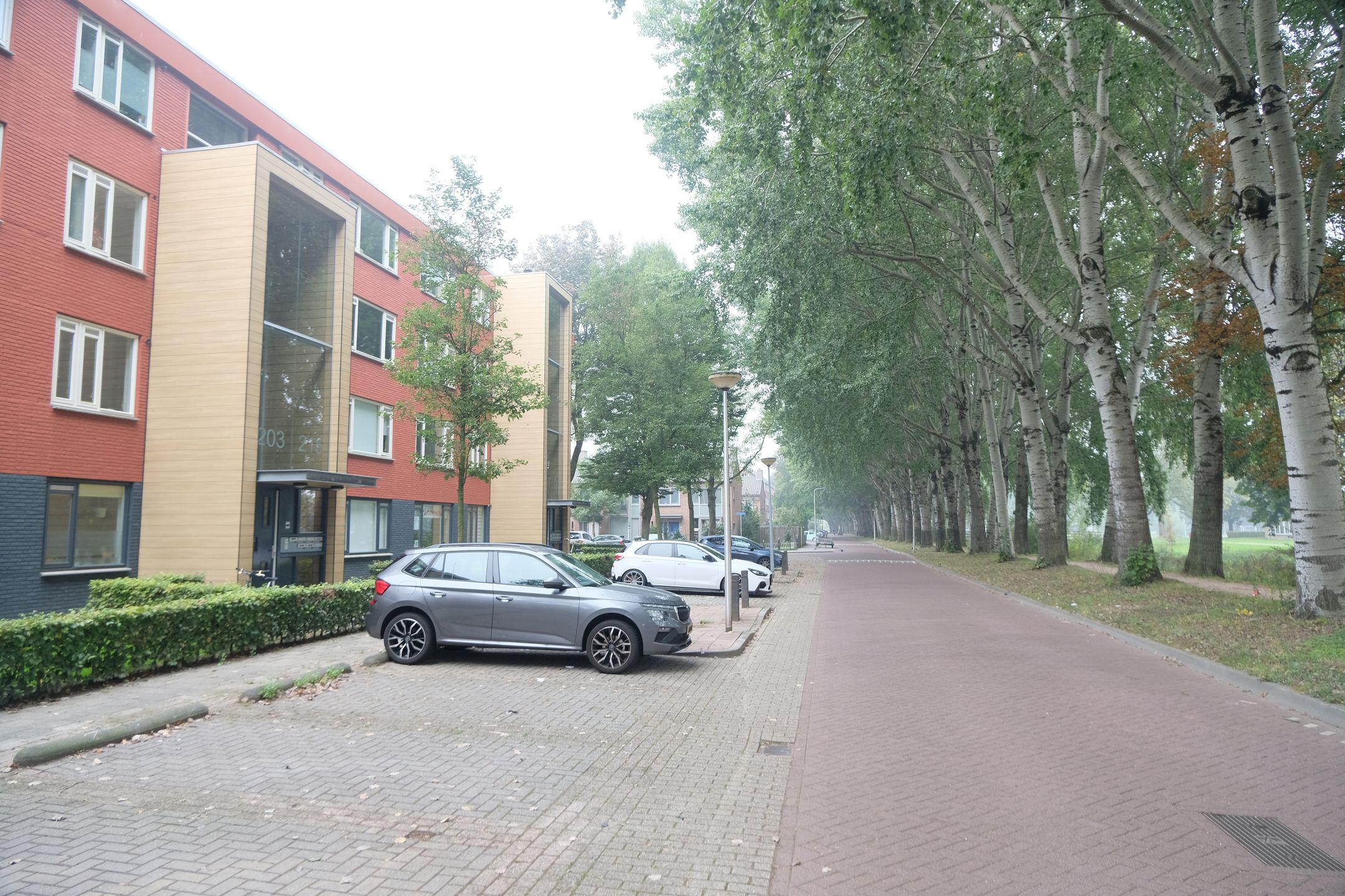 Photo 12 of Parklaan 217