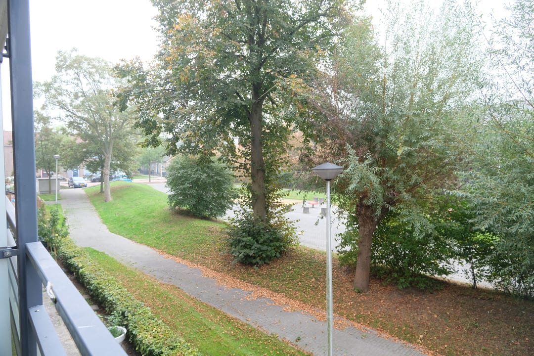Photo 13 of Parklaan 217