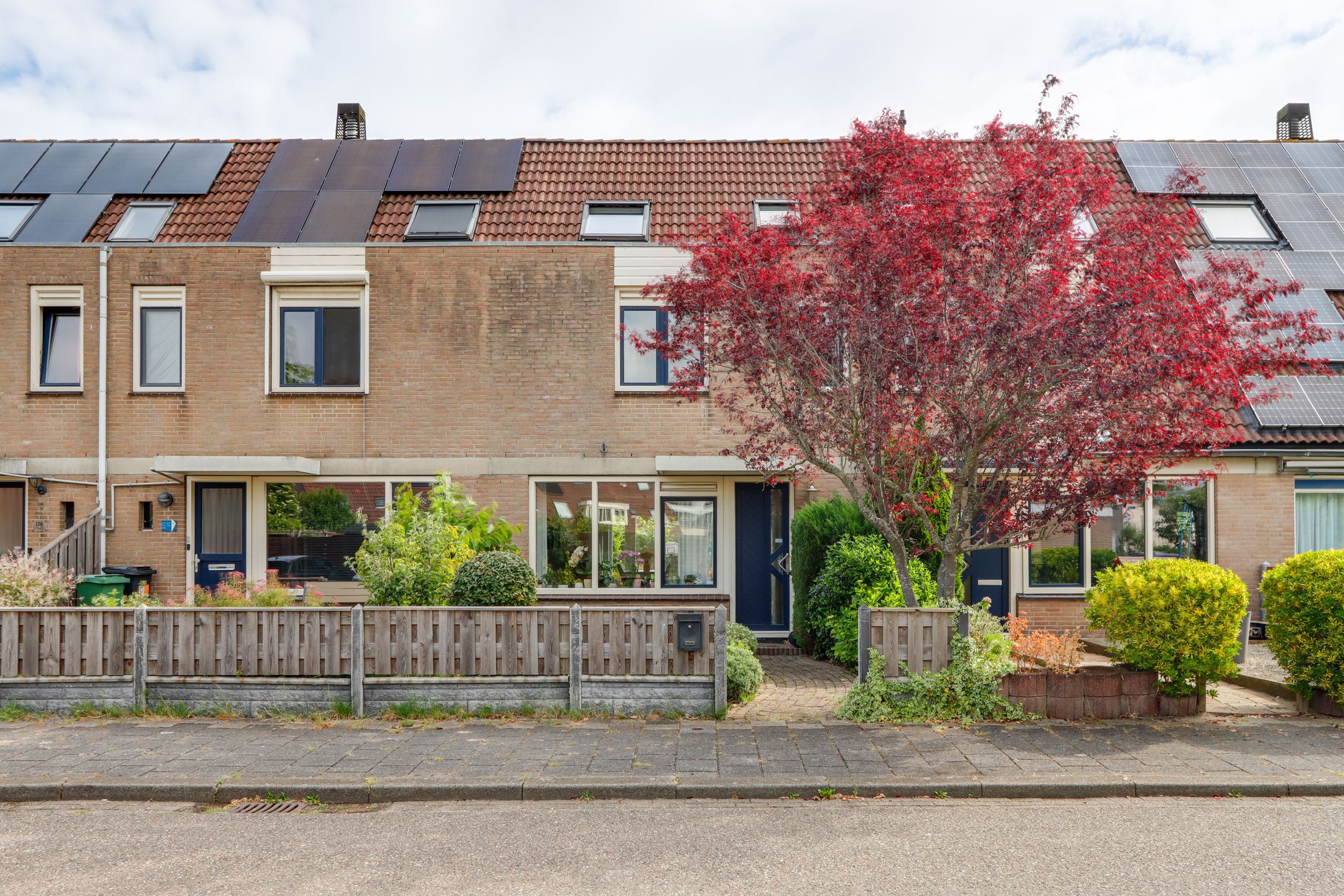 Albergerbos 120 