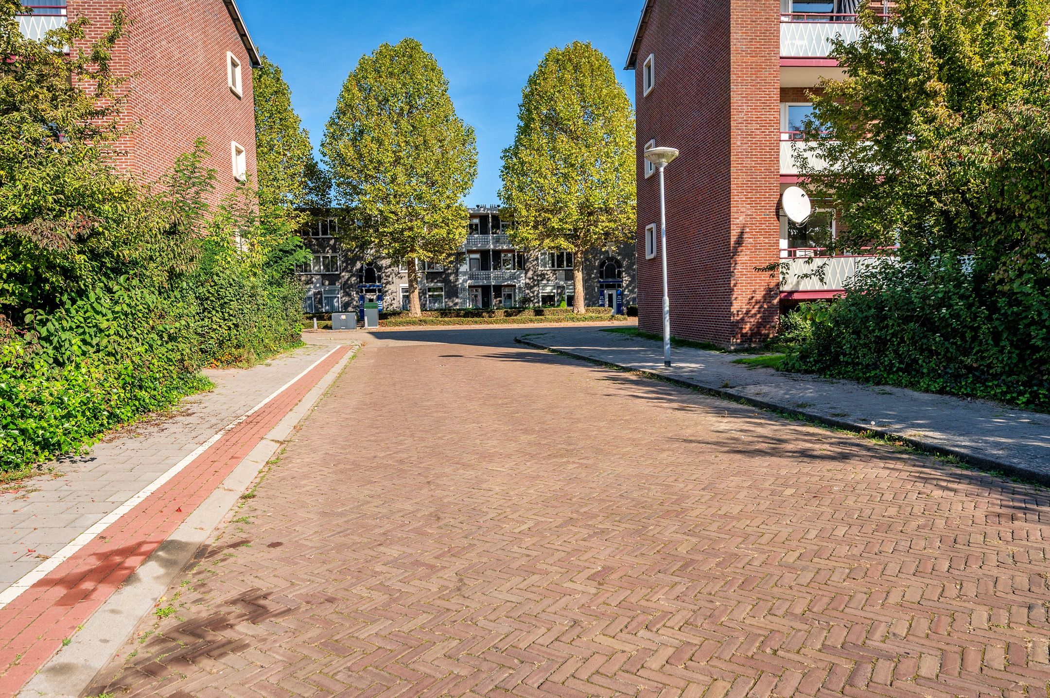 Foto 42 van de Genestetstraat 43