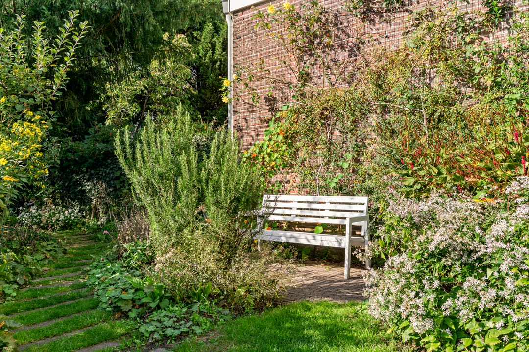 Photo 23 of Willem Barentszstraat 14