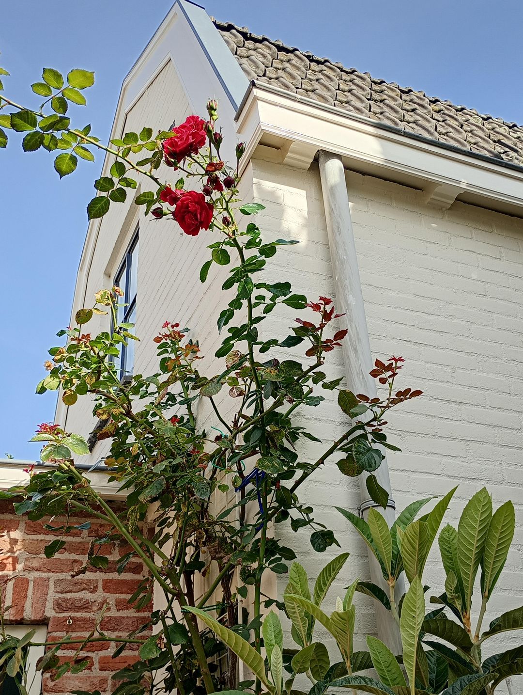 Photo 58 of Muurhuizen 117