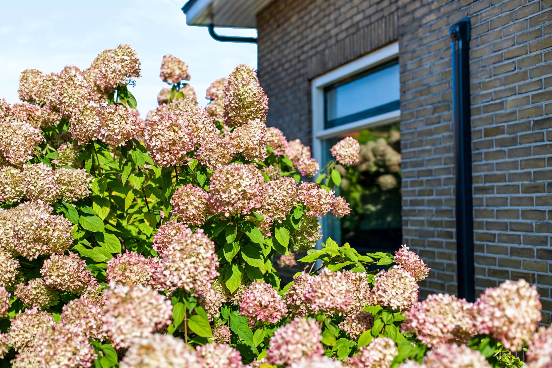 Photo 6 of Dorpstraat 61