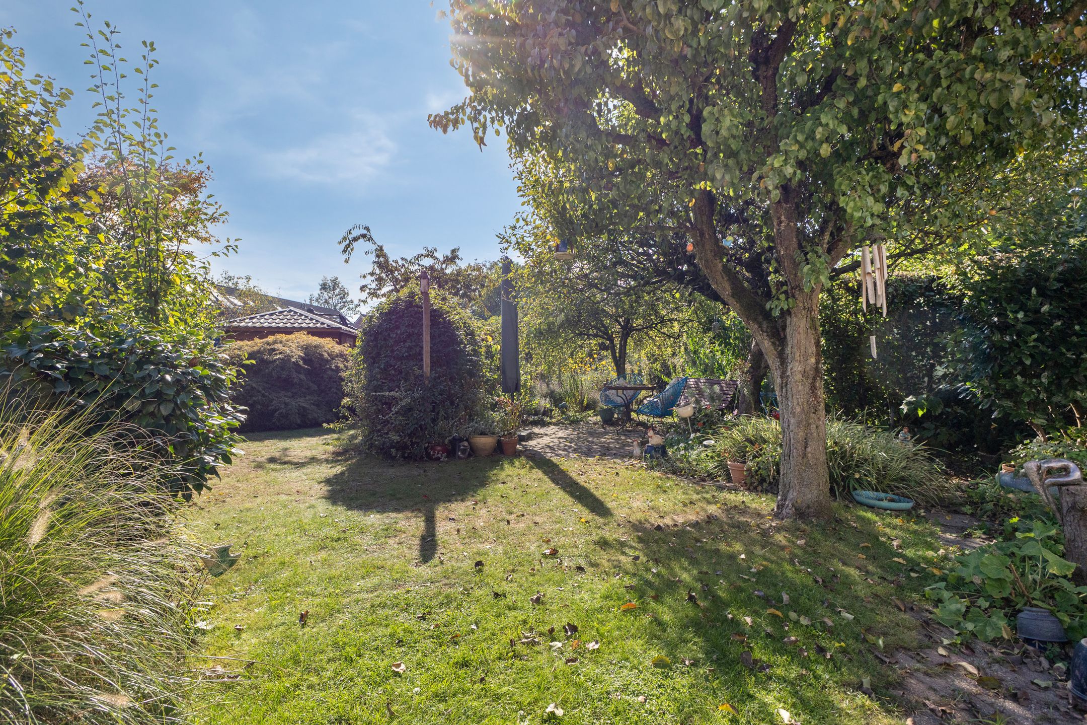 Photo 57 of Golden Delicious 134