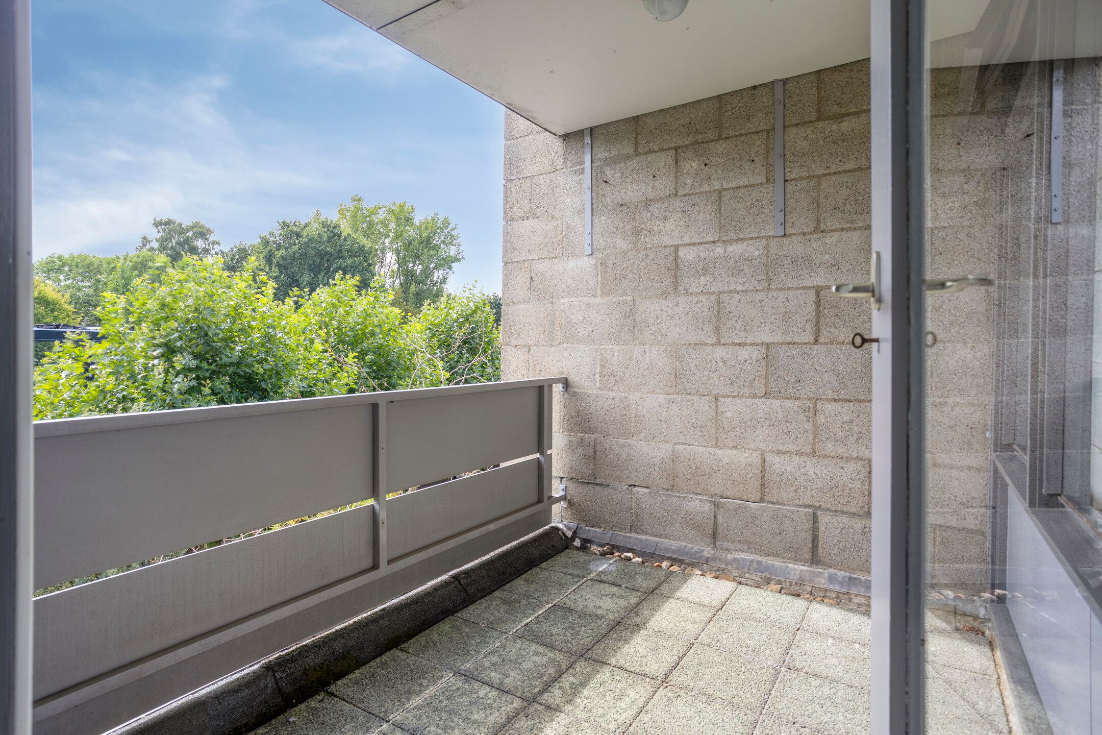 Photo 42 of Kattenbosch 103