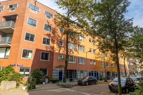 Reitzstraat thumbnail