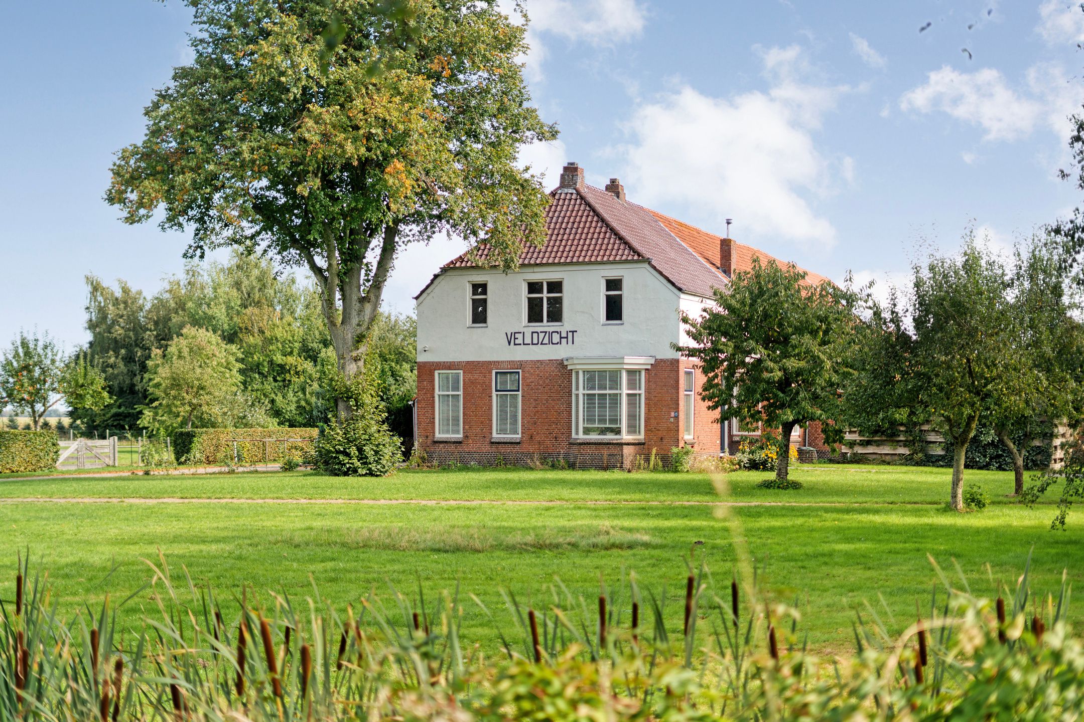 Photo 3 of Burgemeester Buiskoolweg 10