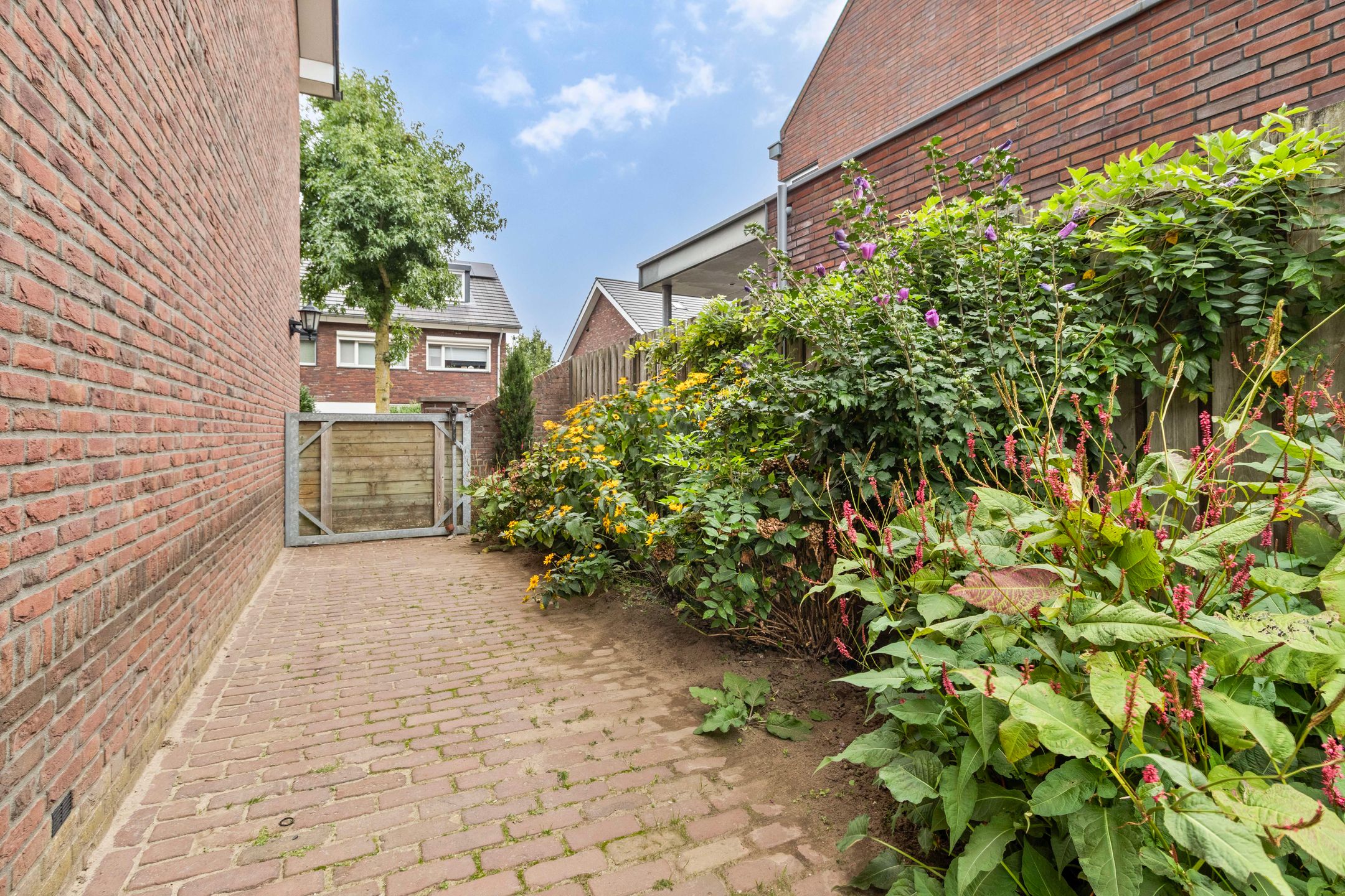 Photo 27 of De Horik 8
