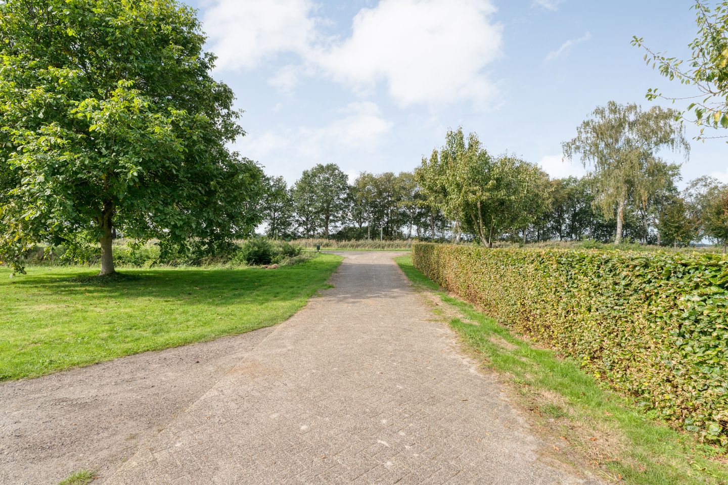 Photo 14 of Burgemeester Buiskoolweg 10