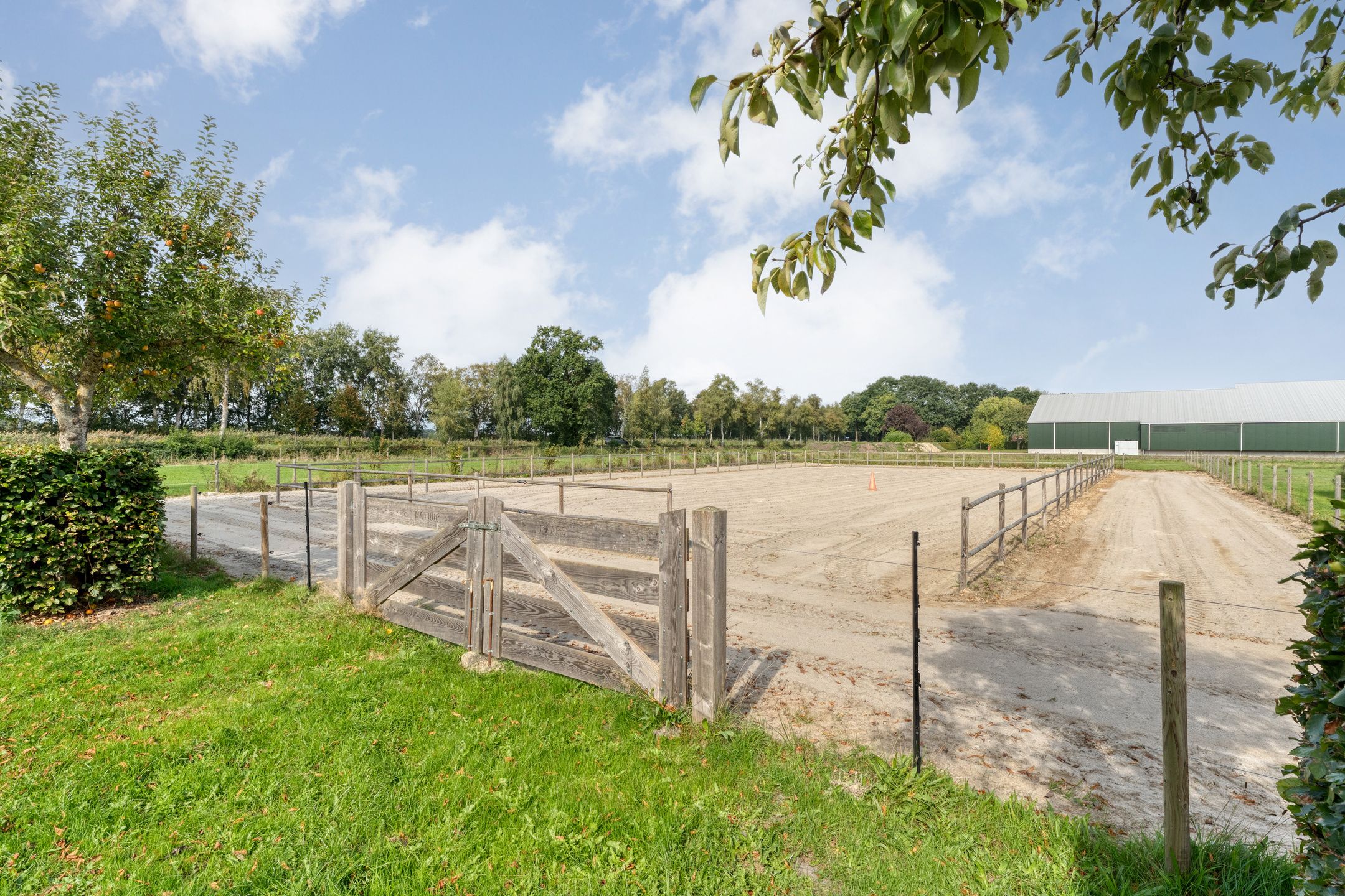 Photo 84 of Burgemeester Buiskoolweg 10