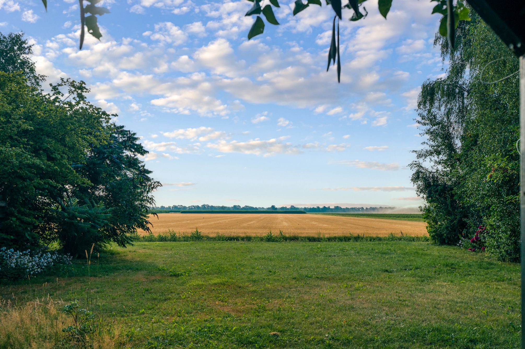Photo 99 of Burgemeester Buiskoolweg 10