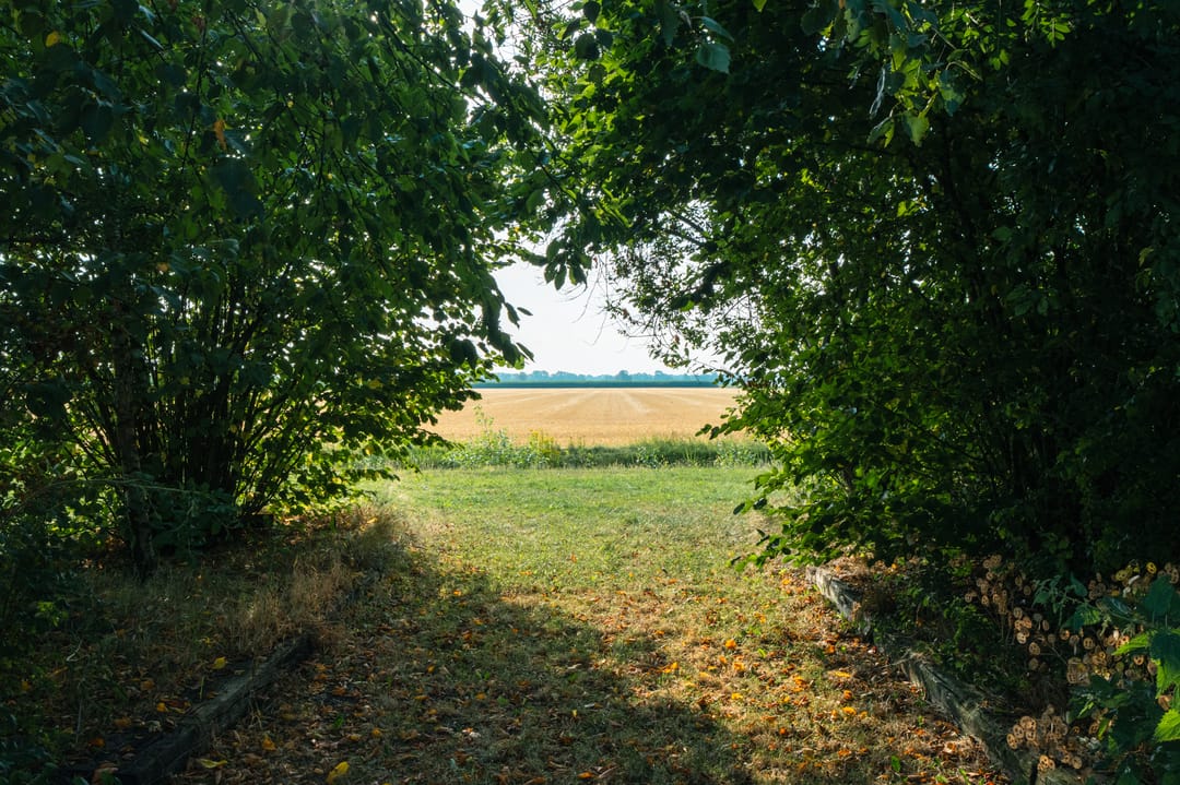 Photo 101 of Burgemeester Buiskoolweg 10