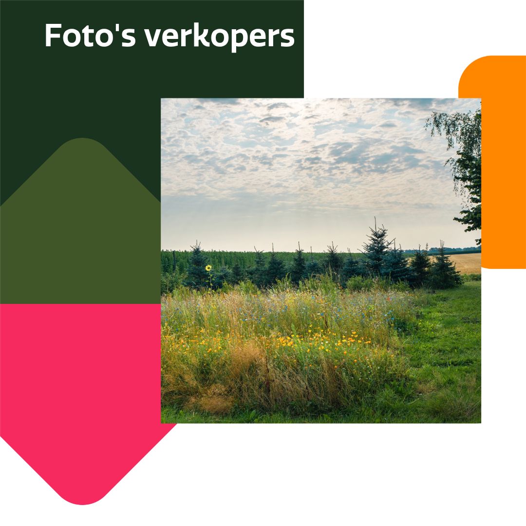 Photo 96 of Burgemeester Buiskoolweg 10