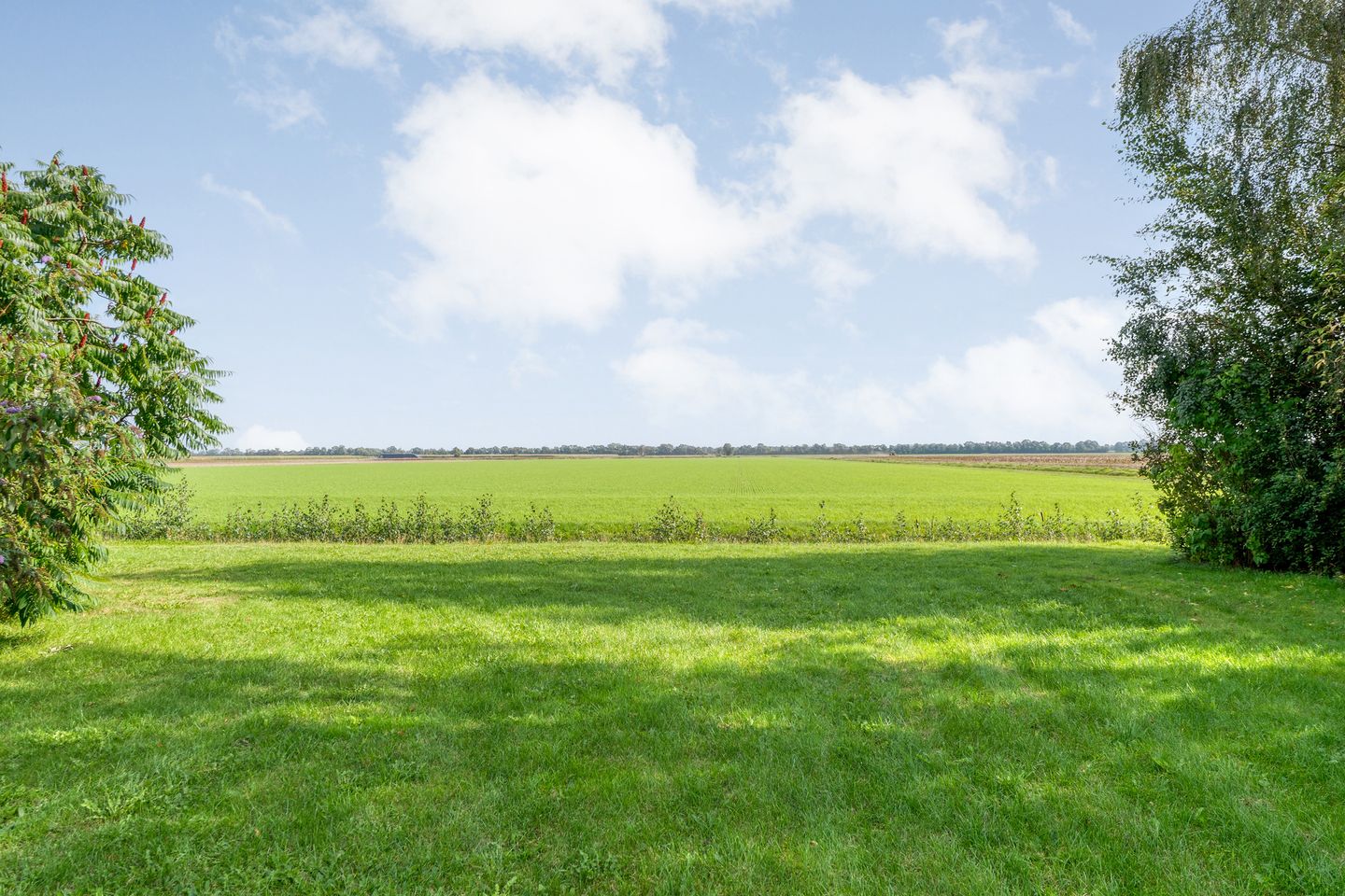 Photo 89 of Burgemeester Buiskoolweg 10