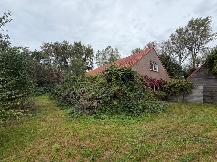 Foto 5 van Oranjedijk 29