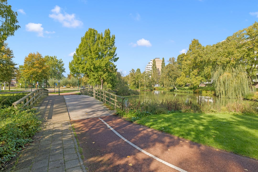Foto 46 van Veenbesstraat 210