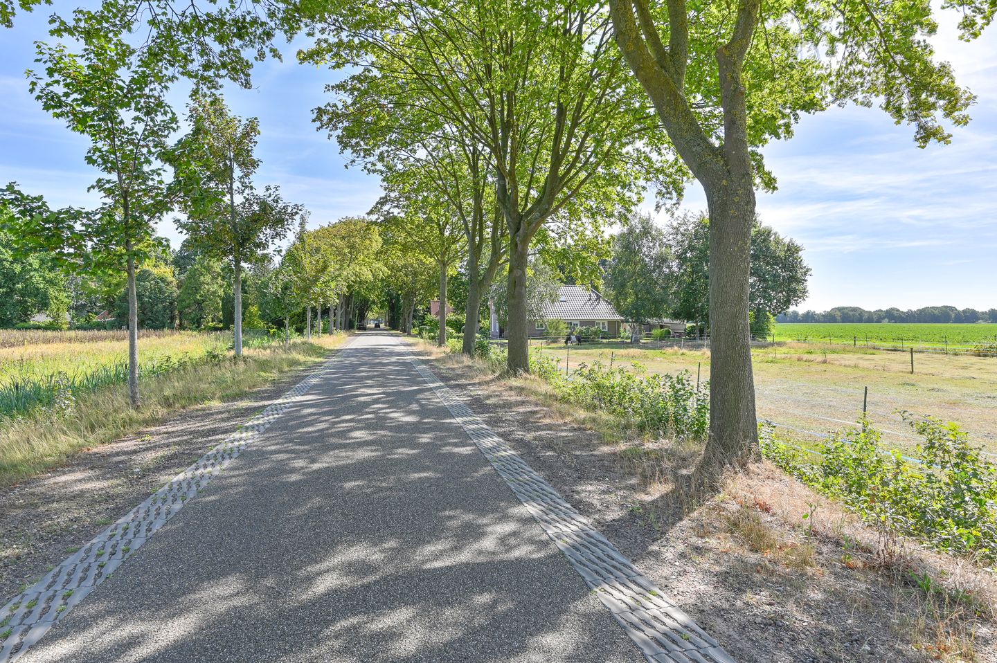 Photo 5 of Overdijksterweg 4