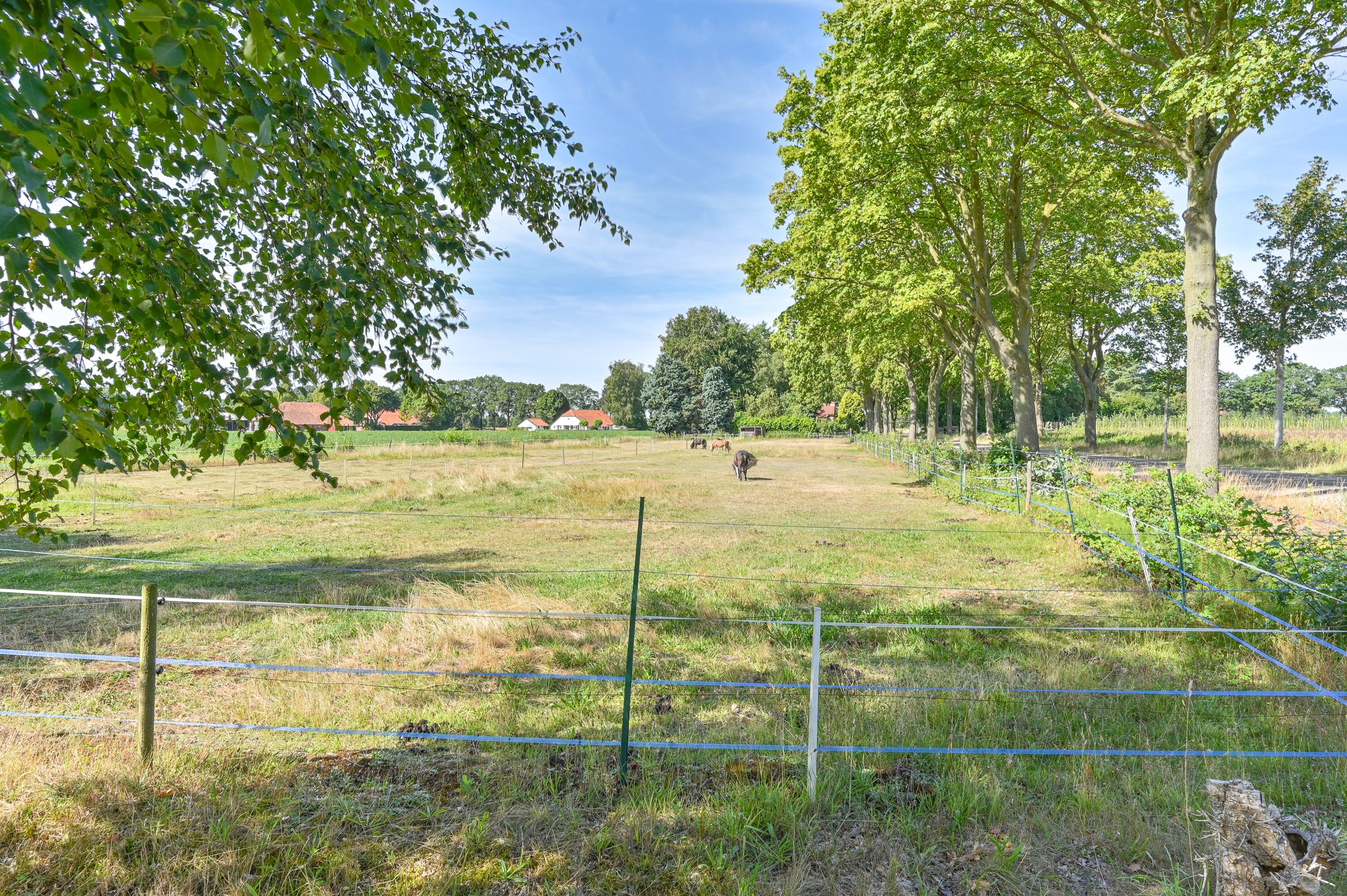 Photo 81 of Overdijksterweg 4