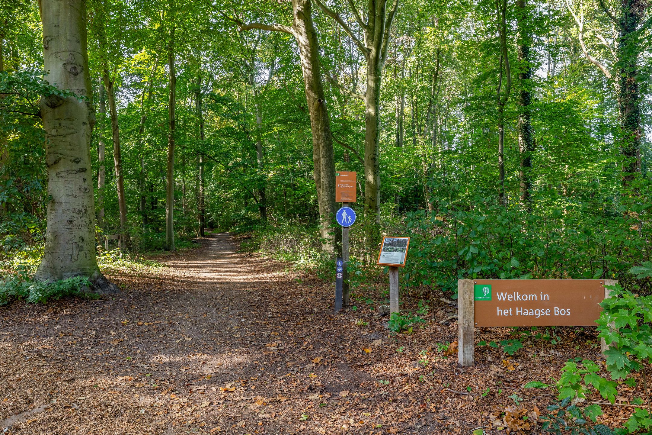Foto 42 van Leidsestraatweg 15-322