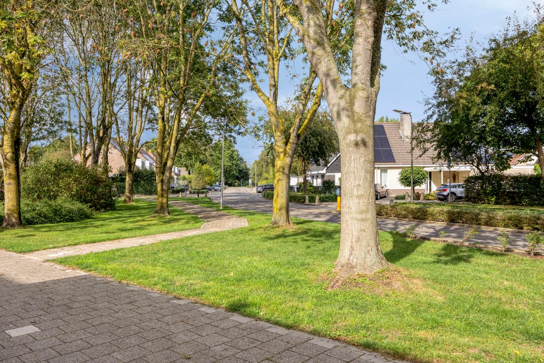 Foto 41 van Twijnen 5
