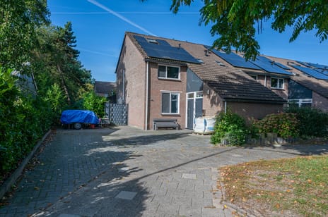 Dennenweg thumbnail