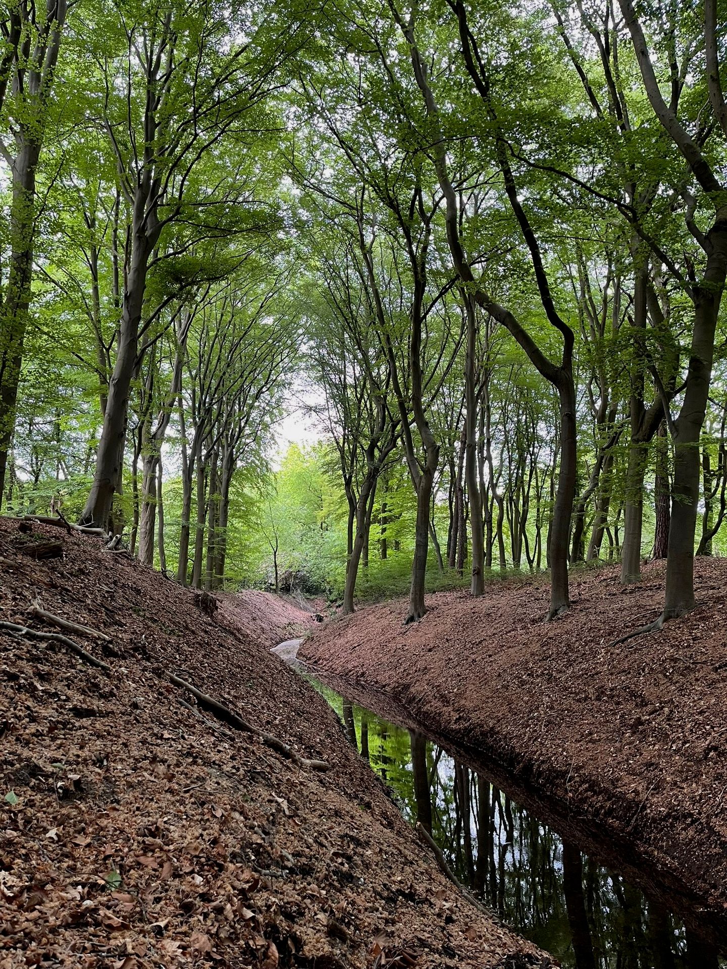 Foto 65 van Schoonderbeeklaan 41