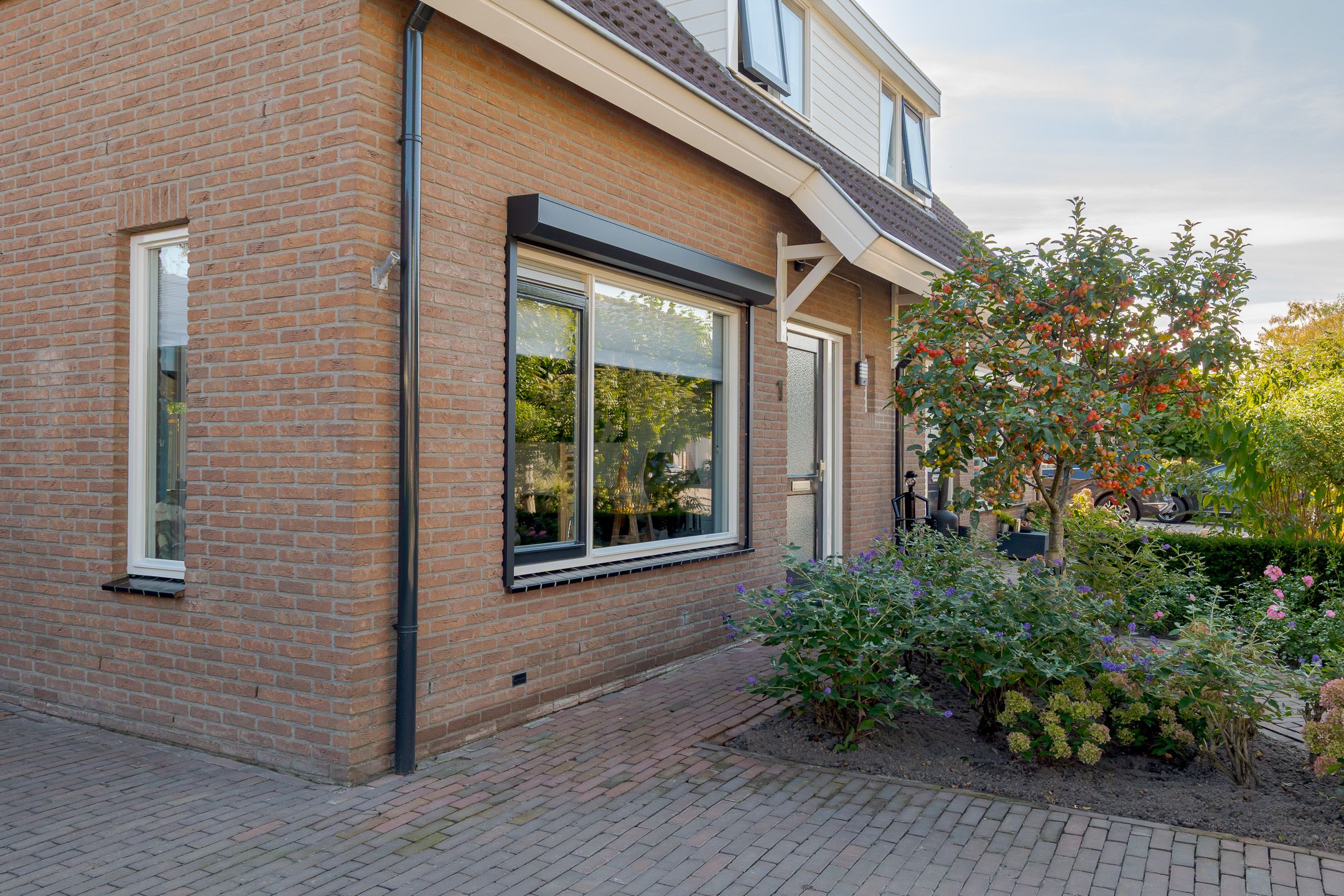 Photo 48 of De Elzen 1
