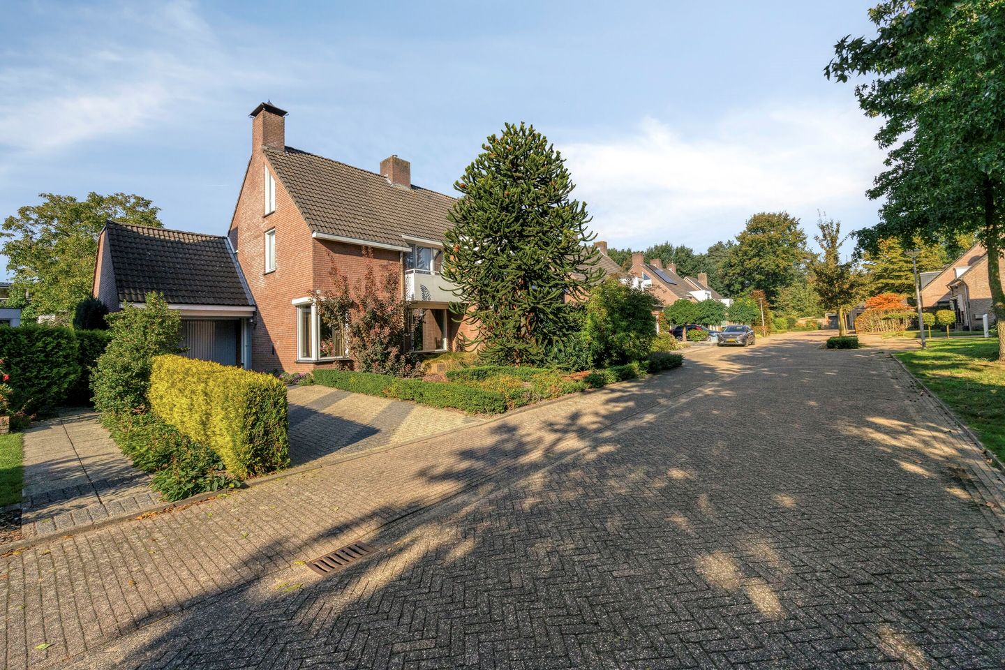 Foto 1 van Het Laar 25