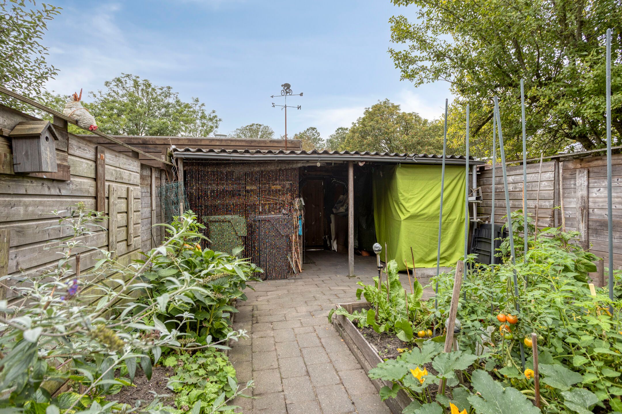 Foto 15 van De Omloop 22
