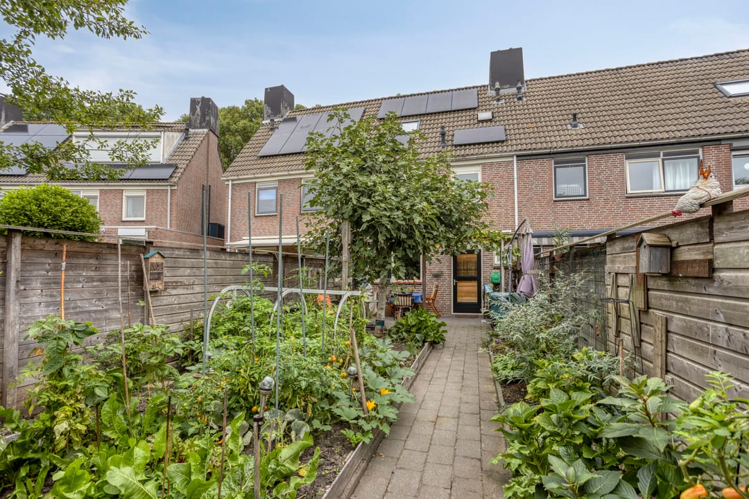 Foto 16 van De Omloop 22