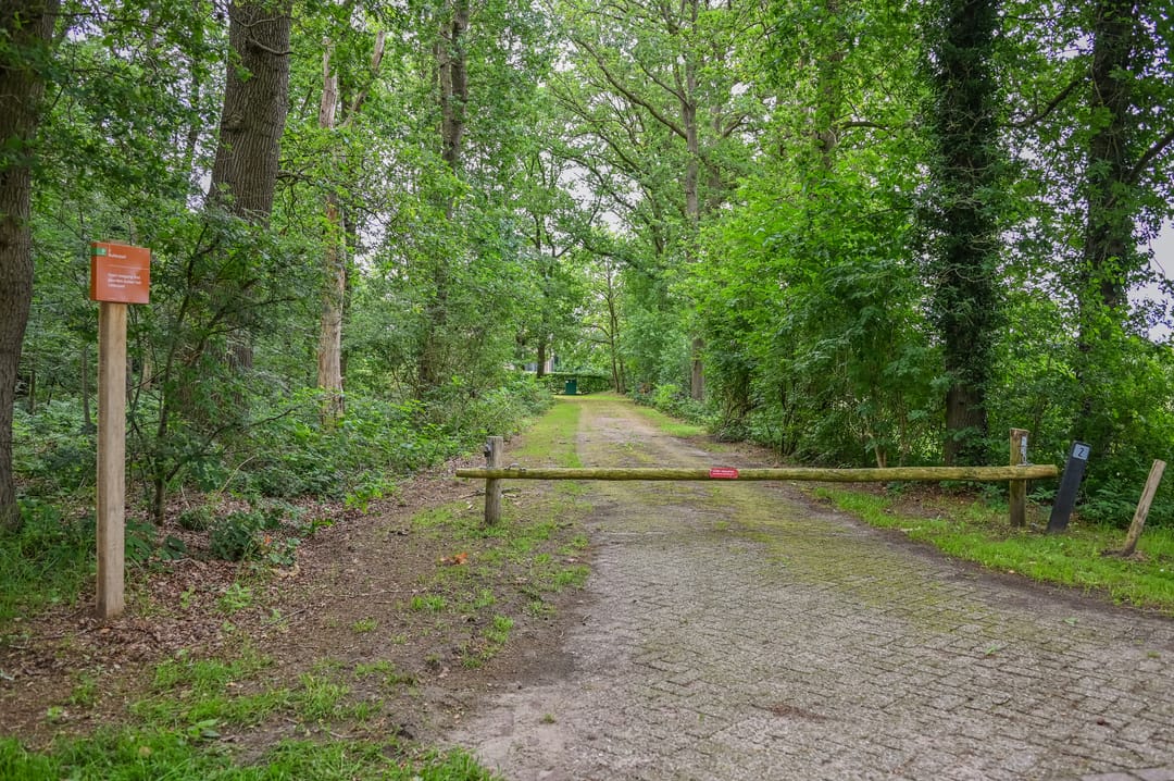 Photo 16 of Blauwe Bos 2