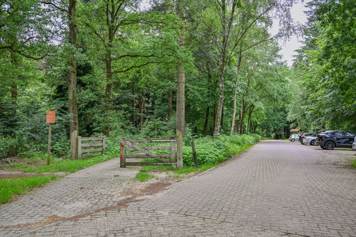 Photo 19 of Blauwe Bos 2