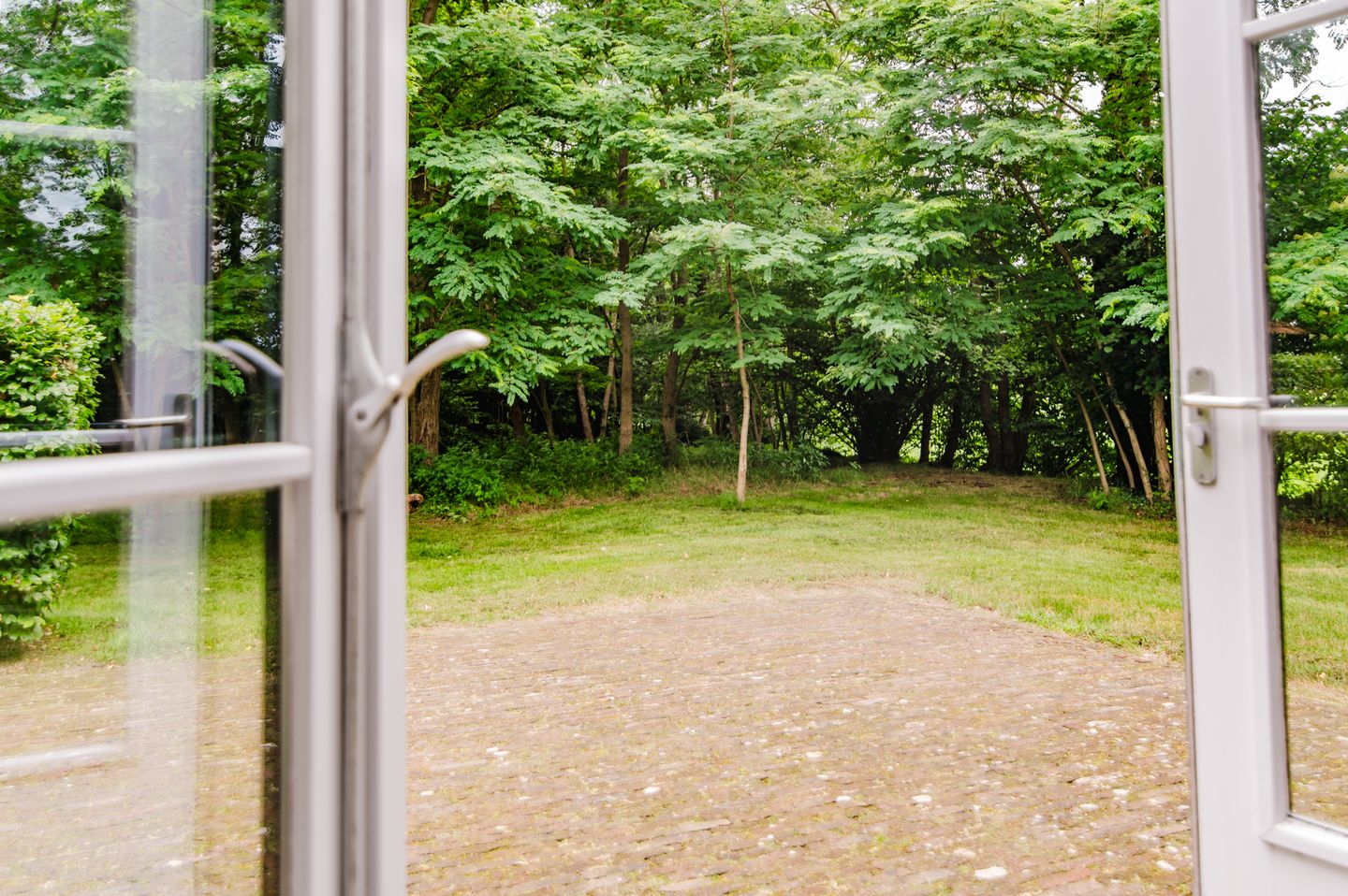 Photo 35 of Blauwe Bos 2