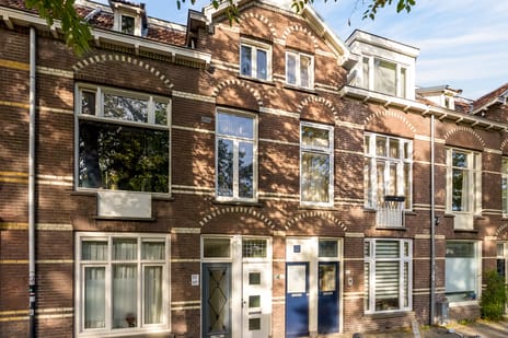 Adriaen van Ostadelaan thumbnail