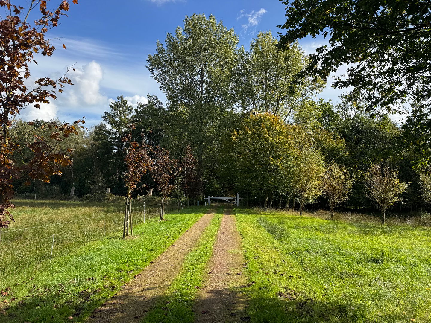 Foto 10 van Oost Ravenweg 2