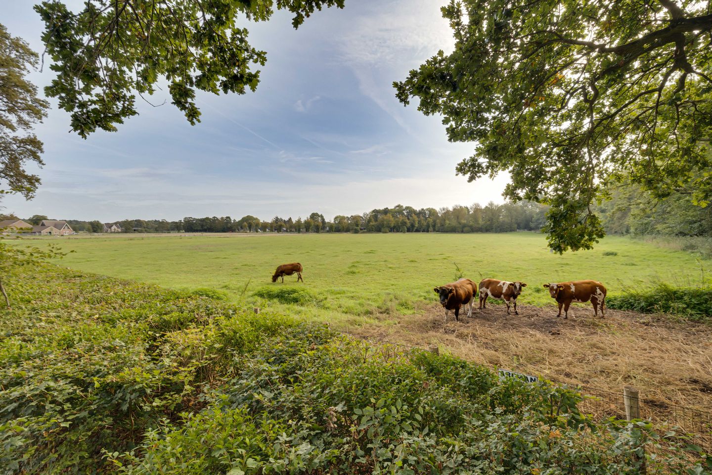 Photo 50 of Molenweg 2-F