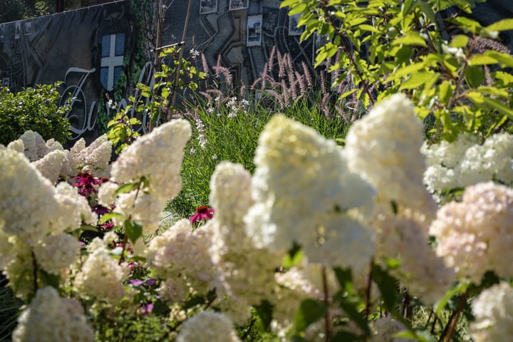 Foto 4 van Altgerinkstraat 19