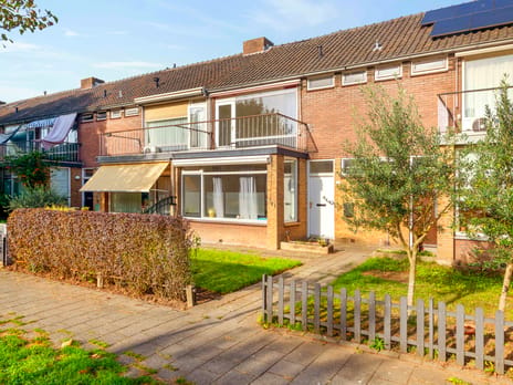 Ranonkelstraat thumbnail
