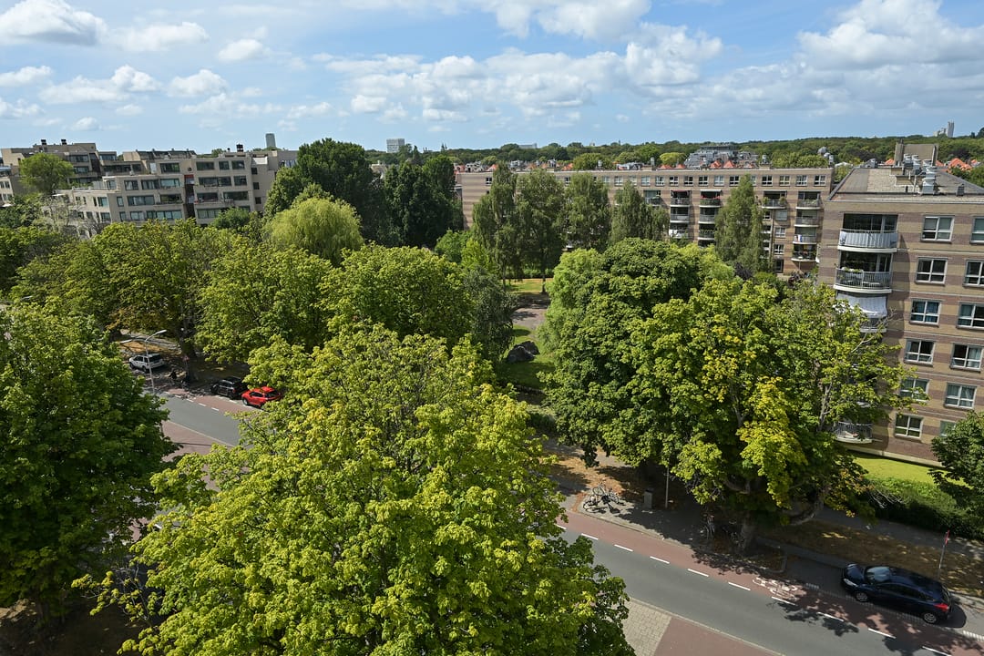 Photo 37 of Burgemeester De Monchyplein 228