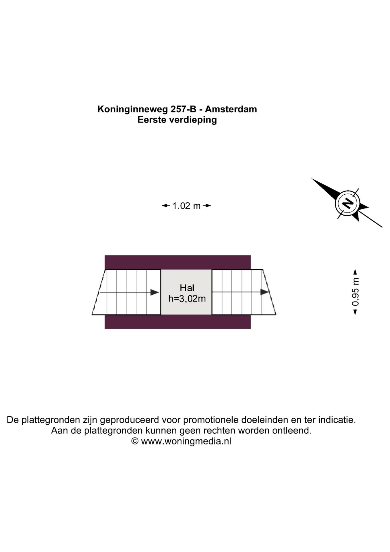 Photo 49 of Koninginneweg 257-B